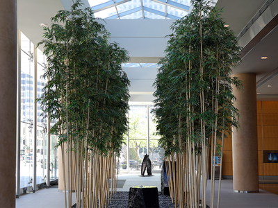 Interior Lobby Space